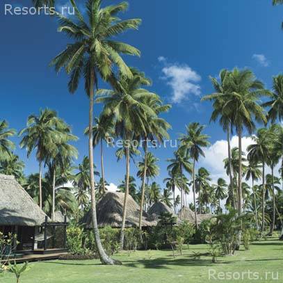 Jean-Michel Cousteau Fiji Islands Resort 10